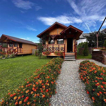 Baltina Parc Transfagarasan Villa Curtea De Arges Exterior photo