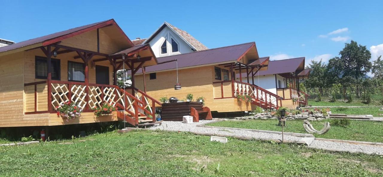 Baltina Parc Transfagarasan Villa Curtea De Arges Exterior photo