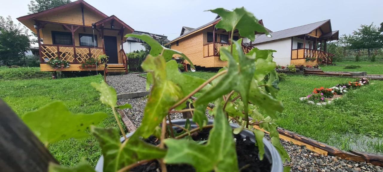 Baltina Parc Transfagarasan Villa Curtea De Arges Exterior photo