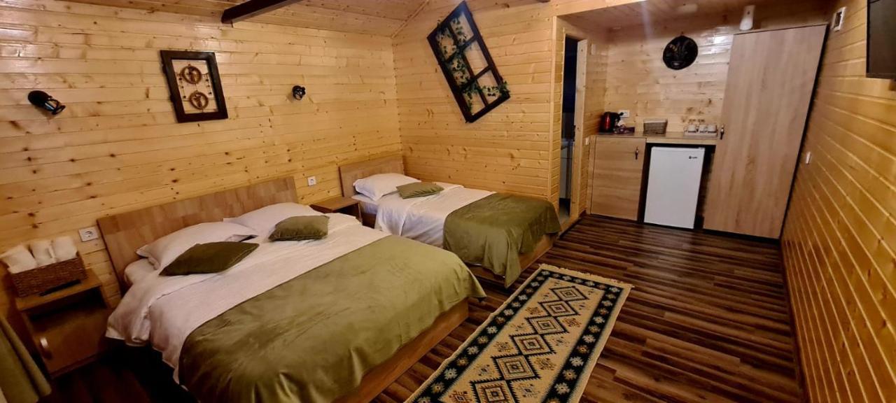 Baltina Parc Transfagarasan Villa Curtea De Arges Exterior photo
