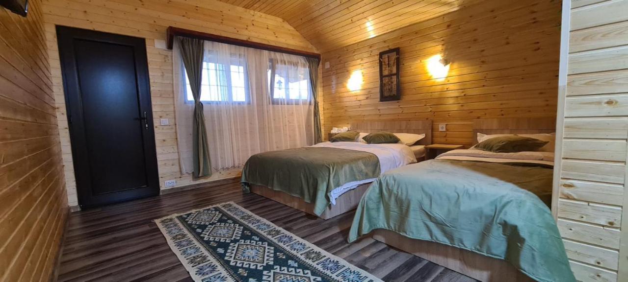 Baltina Parc Transfagarasan Villa Curtea De Arges Exterior photo