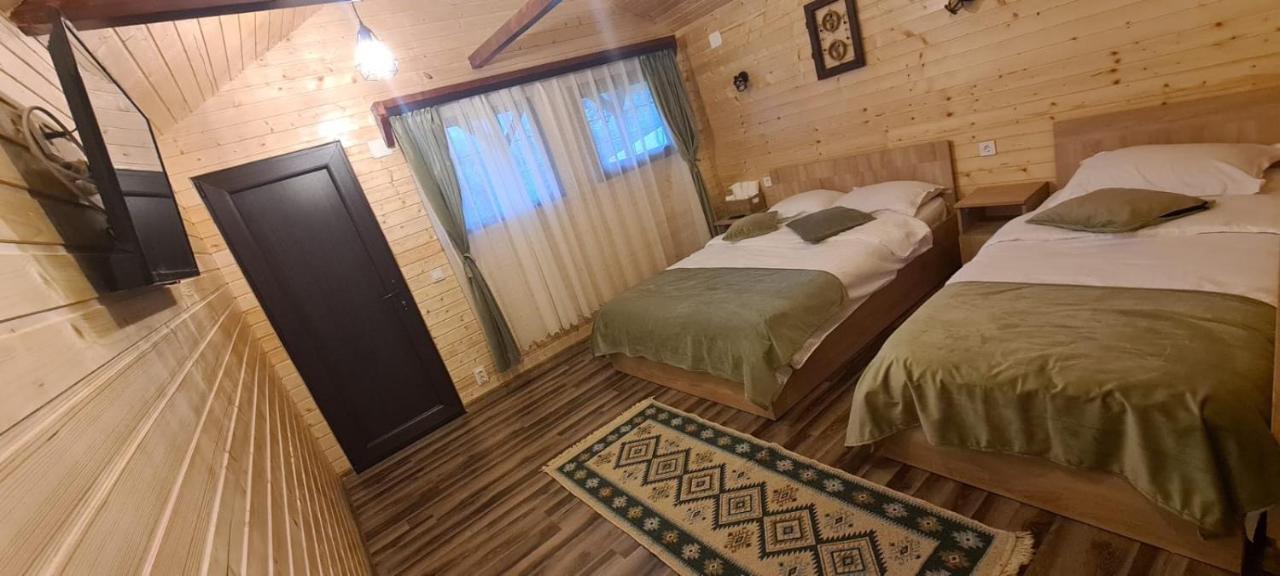 Baltina Parc Transfagarasan Villa Curtea De Arges Exterior photo