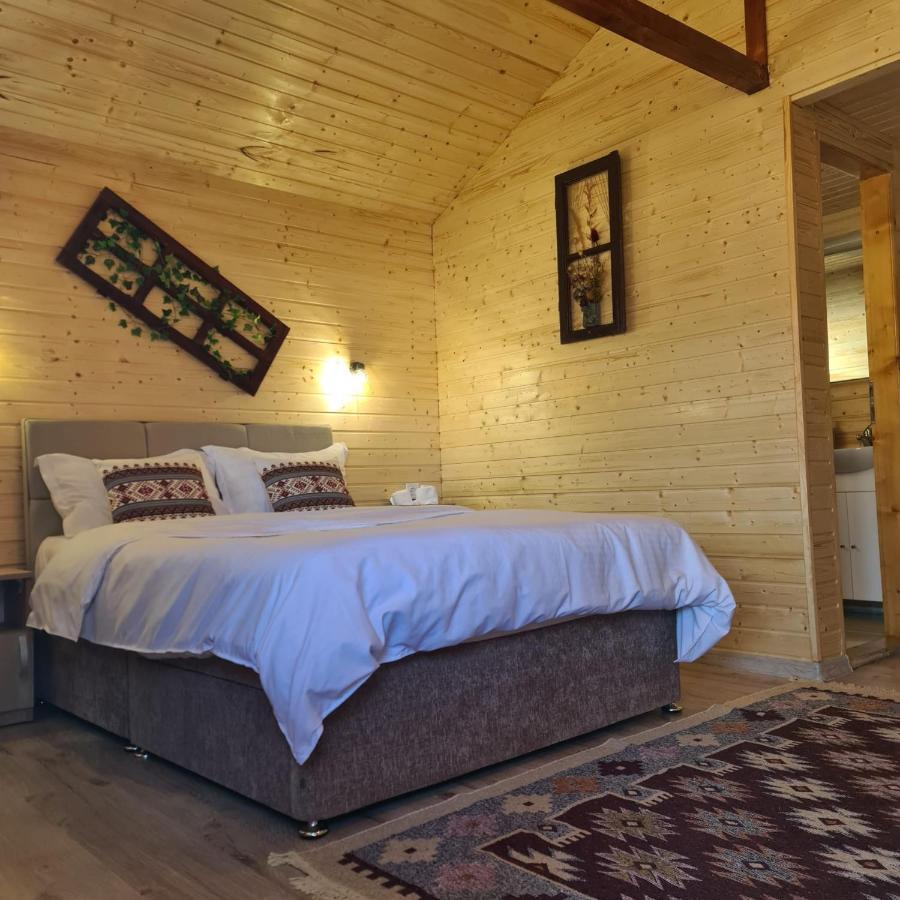 Baltina Parc Transfagarasan Villa Curtea De Arges Exterior photo