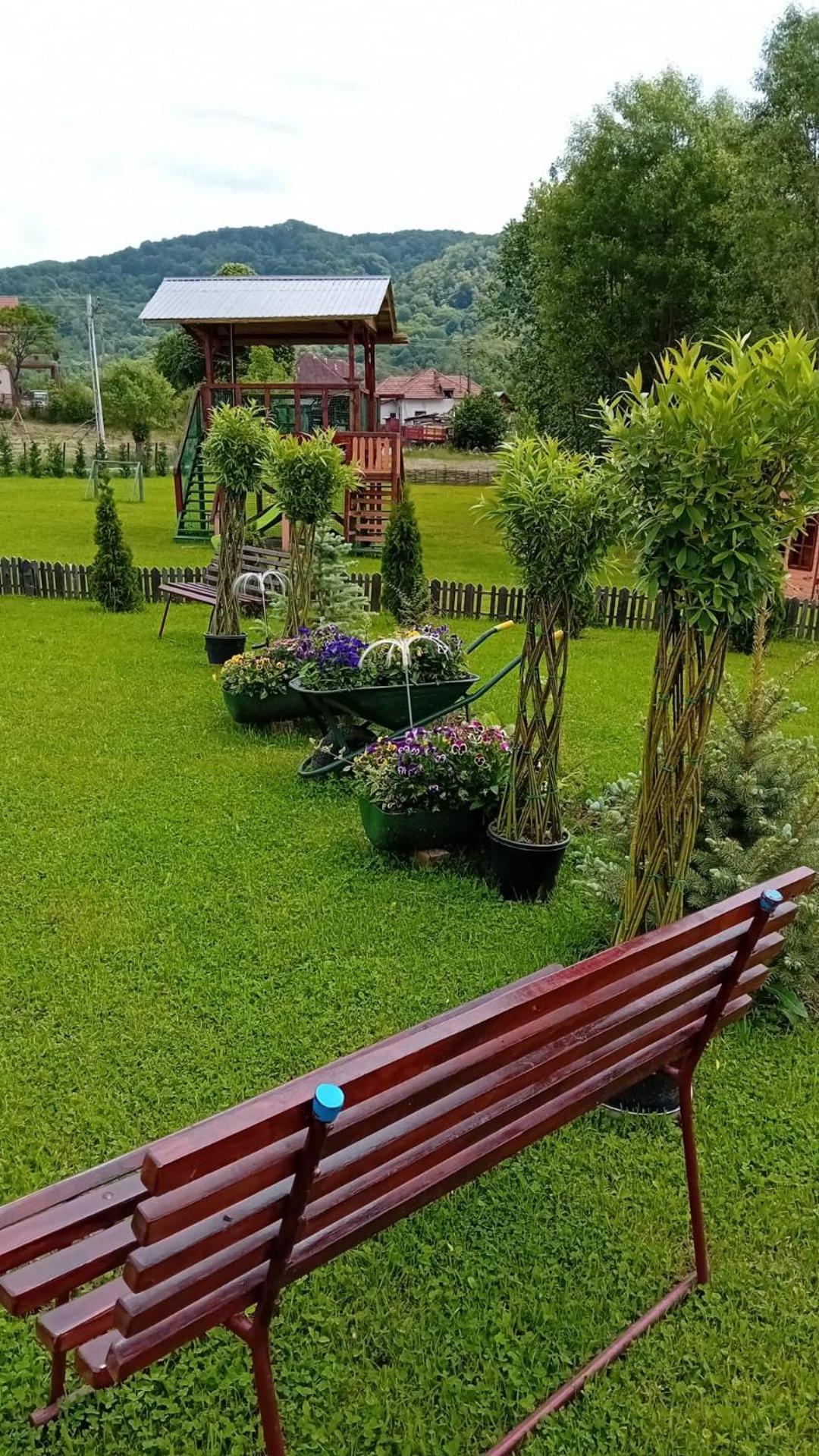Baltina Parc Transfagarasan Villa Curtea De Arges Exterior photo